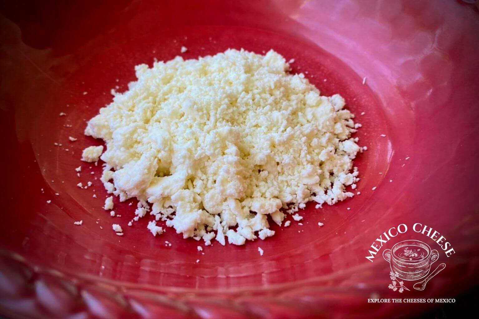 Cotija vs Queso Fresco