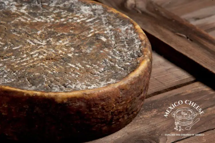 Mexican Manchego vs Spanish Manchego Mexico Cheese