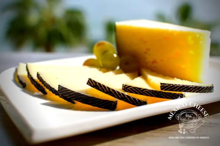 Mexican Manchego vs Spanish Manchego Mexico Cheese