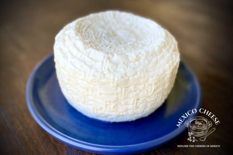 Does Panela Cheese Melt Unveiling the Truth