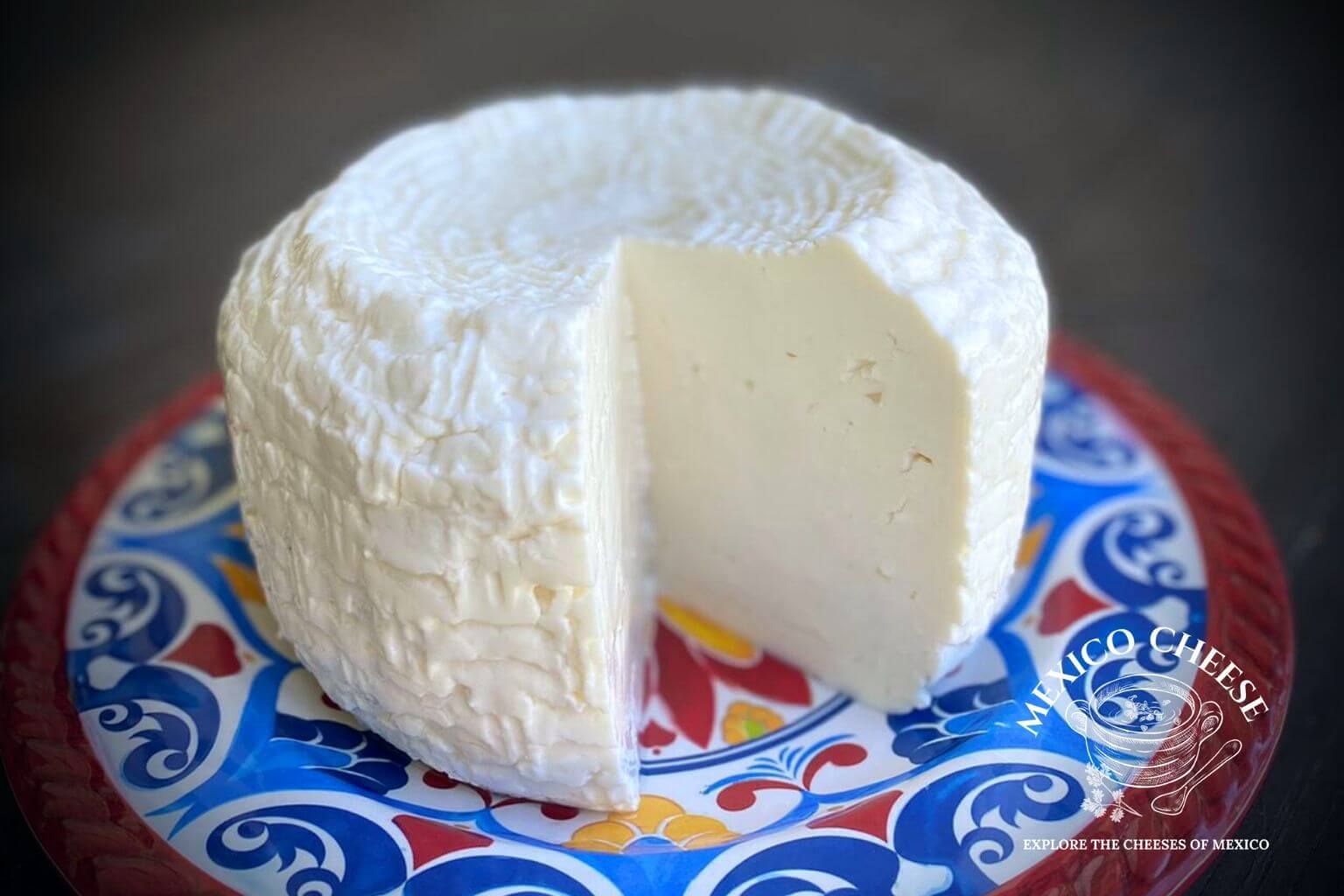 The Best Substitute for Panela Cheese – 12 Great Options