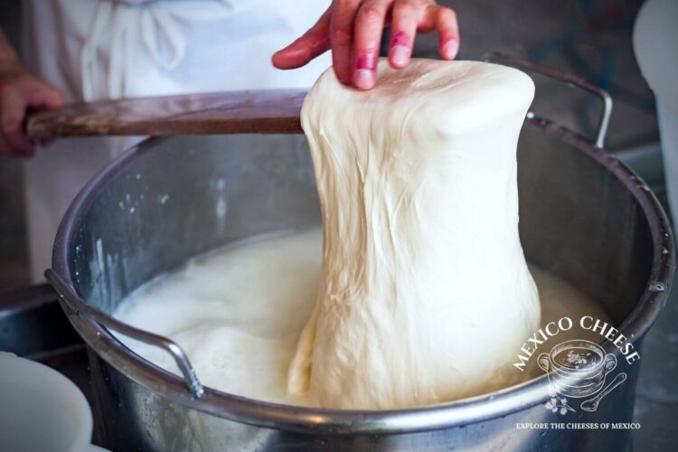 Glossary of Cheese Terms Mexico Cheese